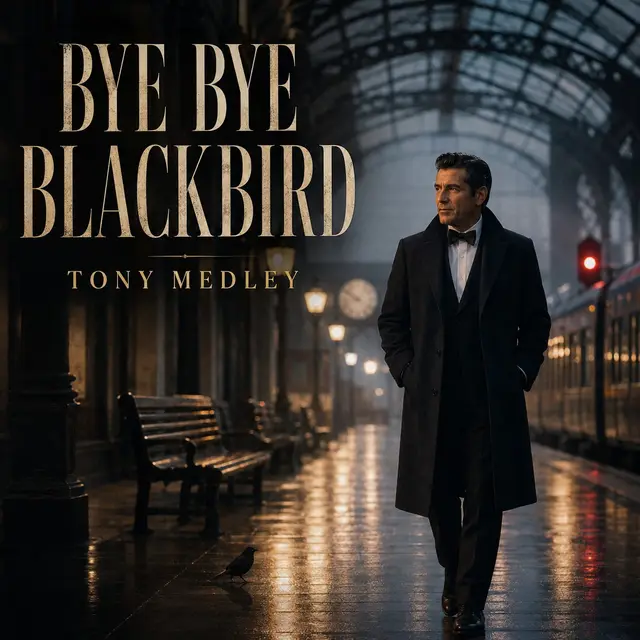 Bye Bye Blackbird by Tony Medley